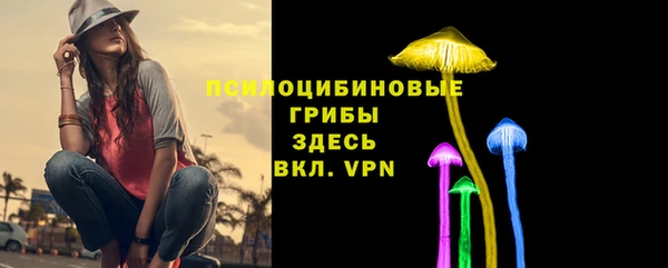 дмт Михайлов