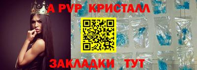 крисы Гай