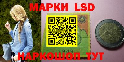 прущие грибы Гатчина