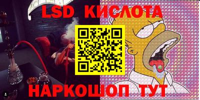 прущие грибы Гатчина