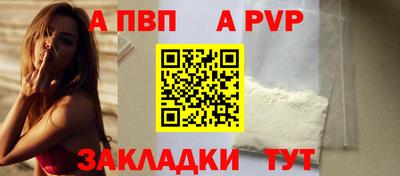 прущие грибы Гатчина