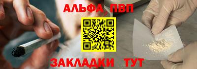 прущие грибы Гатчина