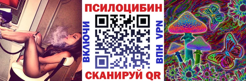 дарнет шоп  Клин  Псилоцибиновые грибы GOLDEN TEACHER 