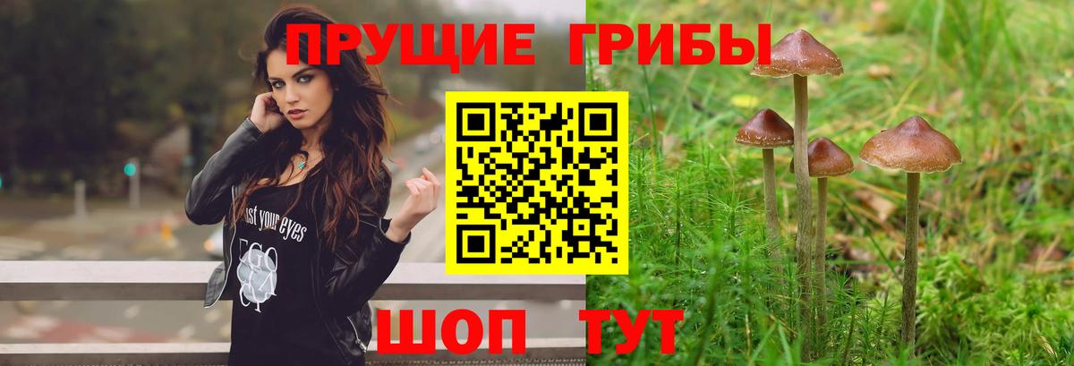 Клин  Галлюциногенные грибы мицелий  Вход с VPN  Псилоцибиновые грибы мухоморы 