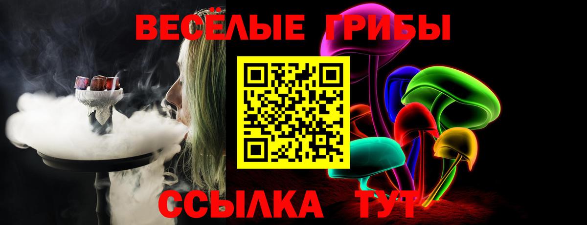 Псилоцибиновые грибы GOLDEN TEACHER Клин